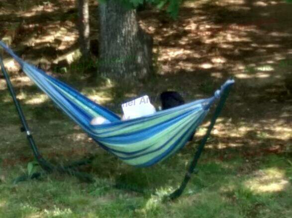 Chillaxin On The Hammock by Jacob Brown