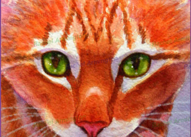 Bad Cat Orange Tabby Kitten Gifts by Rachel Armington