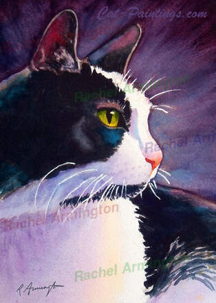 Black Cat Tuxedo Cat Stormy Rachel Armington Calendar by Rachel Armington