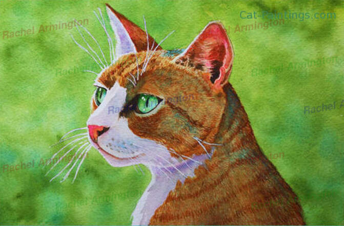 Feral Tabby Cat Art Shelter Picture by Rachel Armington