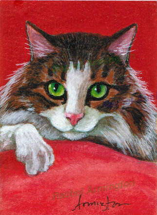 Funny Cat Pictures Maine Coon Tabby Christmas Cat Art Paintings by Rachel Armington