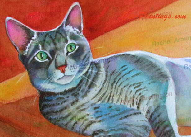 Gray Tabby Cat Grey Tabby Lunch by Rachel Armington