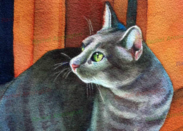 Grey Tabby Gray Cat Soft Kitty by Rachel Armington