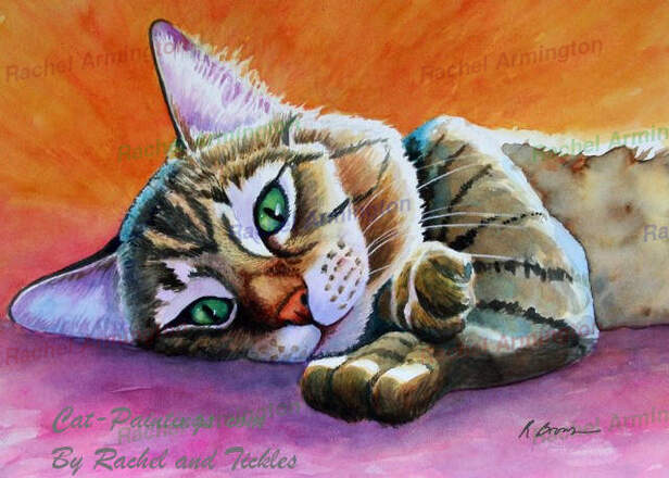 Maine Coon Art by Rachel Armington