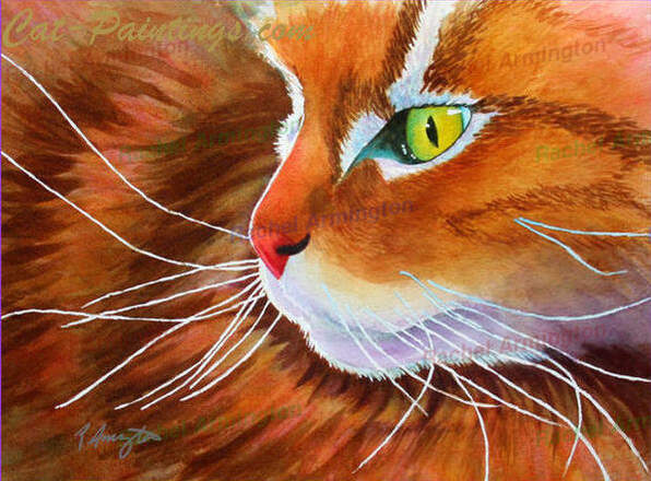 Maine Coon Cat Paintin by Rachel Armington