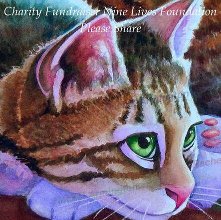 Nine Lives Foundation by Rachel Armington