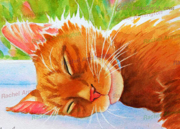 Orange Tabby Window Na by Rachel Armington