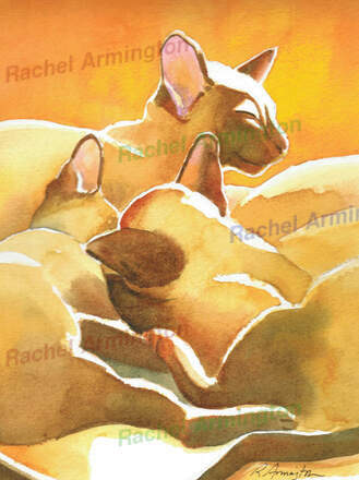 Siamese Cat Art Watercolor Sunlight Kitten Paintings by Rachel Armington