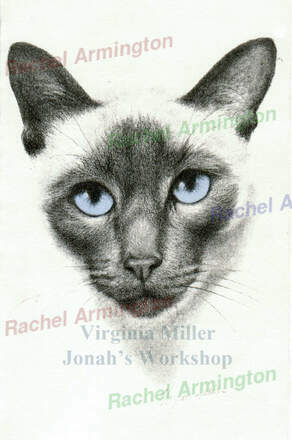 Siamese Cat Lithograph Ginny Miller by Rachel Armington