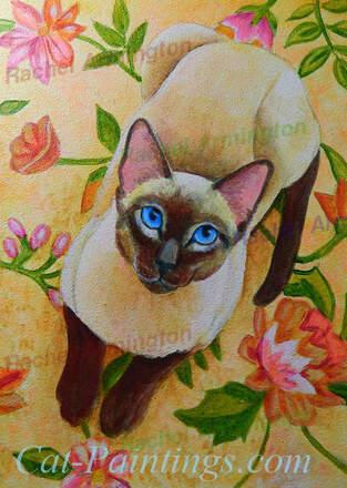 Siamese Cat Portrait by Rachel Armington