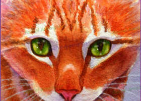 Bad Cat Orange Tabby Kitten Gifts by Rachel Armington