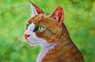 Feral Tabby Cat Art Shelter Picture by Rachel Armington