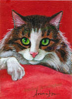 Funny Cat Pictures Maine Coon Tabby Christmas Cat Art Paintings by Rachel Armington