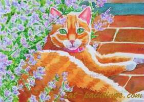 Orange Manx Tabby Lavender Garden by Rachel Armington