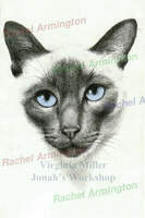 Siamese Cat Lithograph Ginny Miller by Rachel Armington