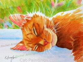 Sleeping Cat Paintin by Rachel Armington